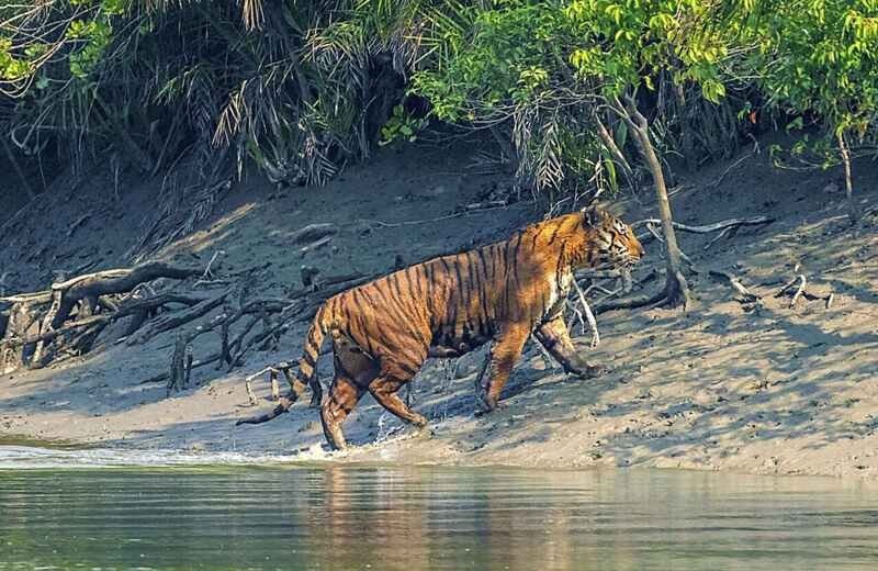 sundarban blog