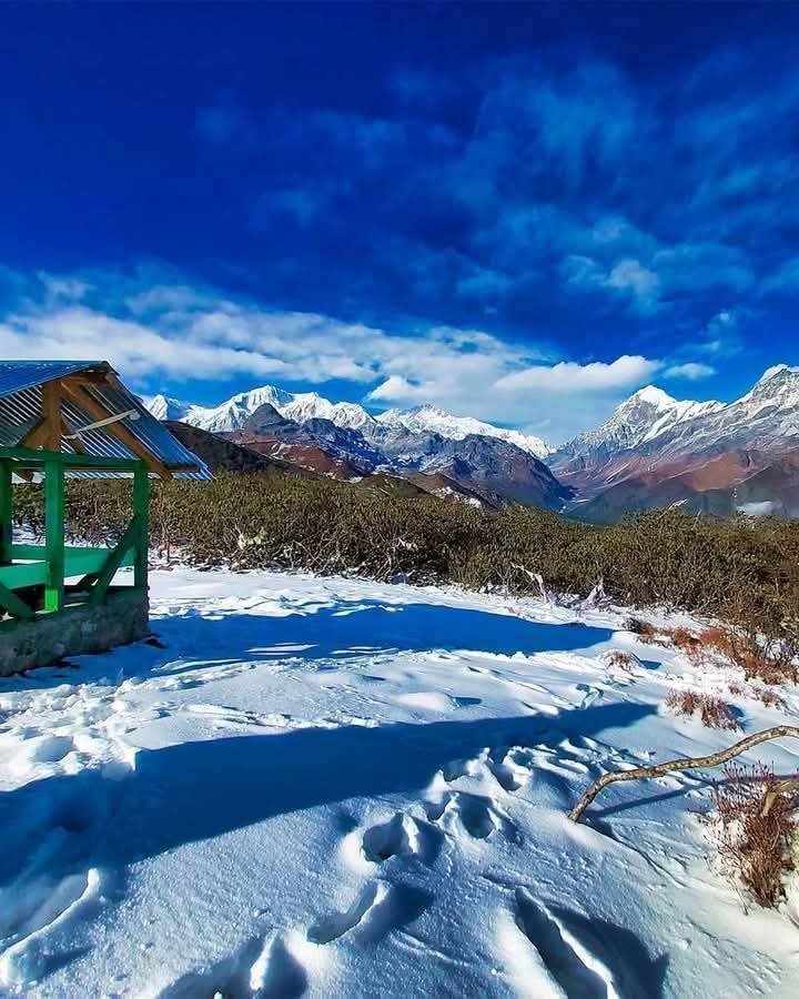 Darjeeling & Gangtok Packages 
